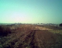 遺跡現場近くの風景