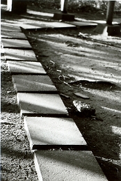 ある神社の境内にて